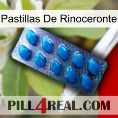 Rhino Pills viagra1